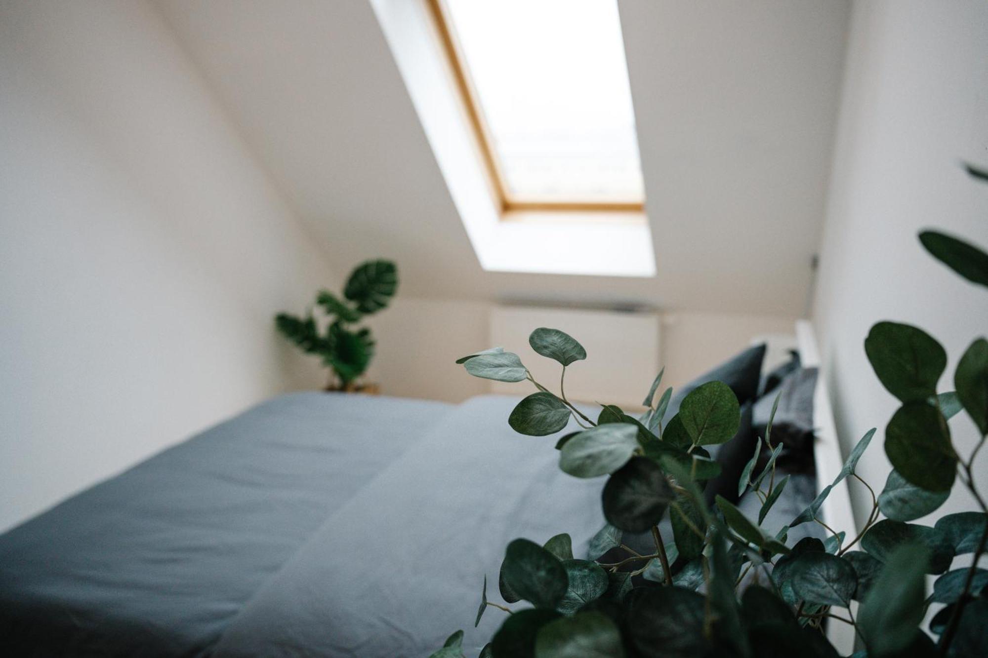 110Qm, 4 Bedrooms, Near Schoenbrunn - Axara Housing Osw 33 Wien Ngoại thất bức ảnh